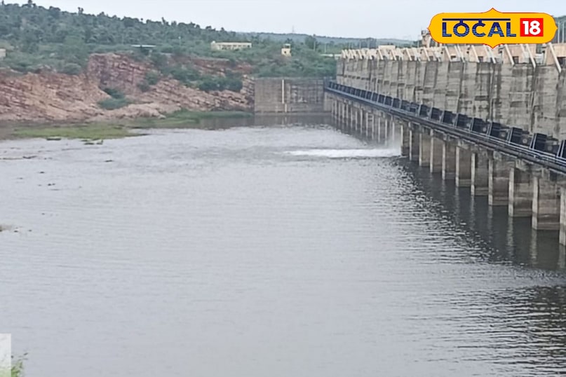 वॉटर प्लांट वॉटर प्लांट