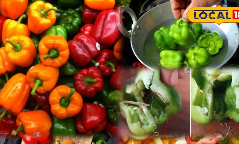 शिमला मिर्च को उपयोग में लाने से पहले जरूर करें ये काम, इन आसान तरीकों से मिनटों में निकलेंगे कीड़े