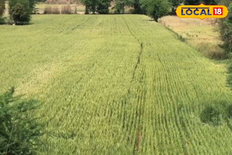 bhilwara bhilwara