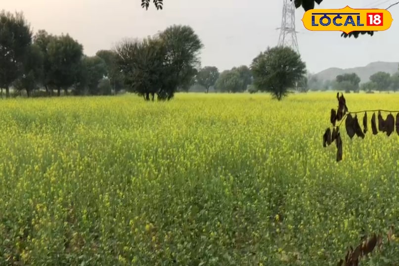bhilwara bhilwara