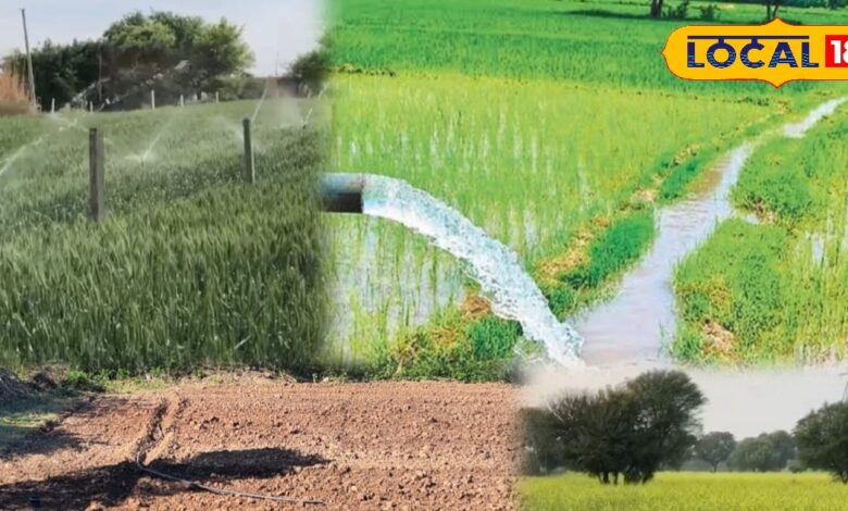 agriculture tips irrigation time | best time to water crops | crop irrigation schedule | farming tips | progressive farmer secret | avoid crop damage irrigation | kheti tips