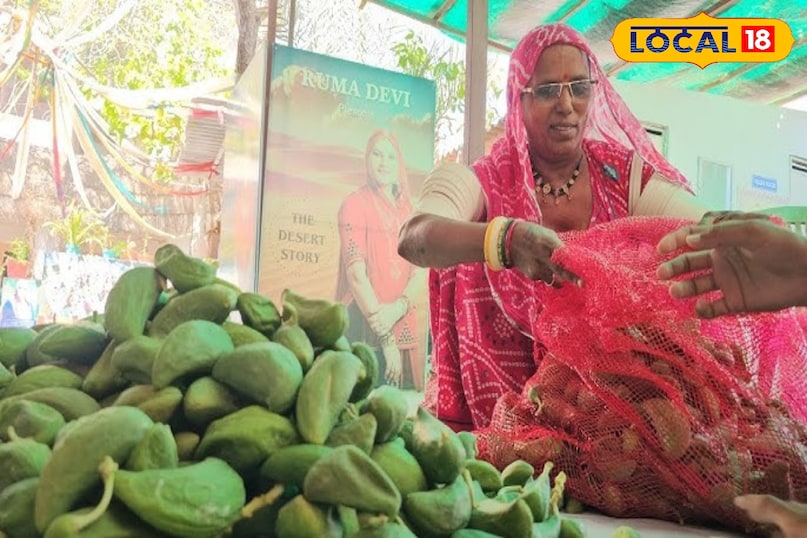इसके रेशों से उच्च गुणवत्ता के कपड़े तैयार किए जाएंगे. इसके रेशों से उच्च गुणवत्ता के कपड़े तैयार किए जाएंगे.
