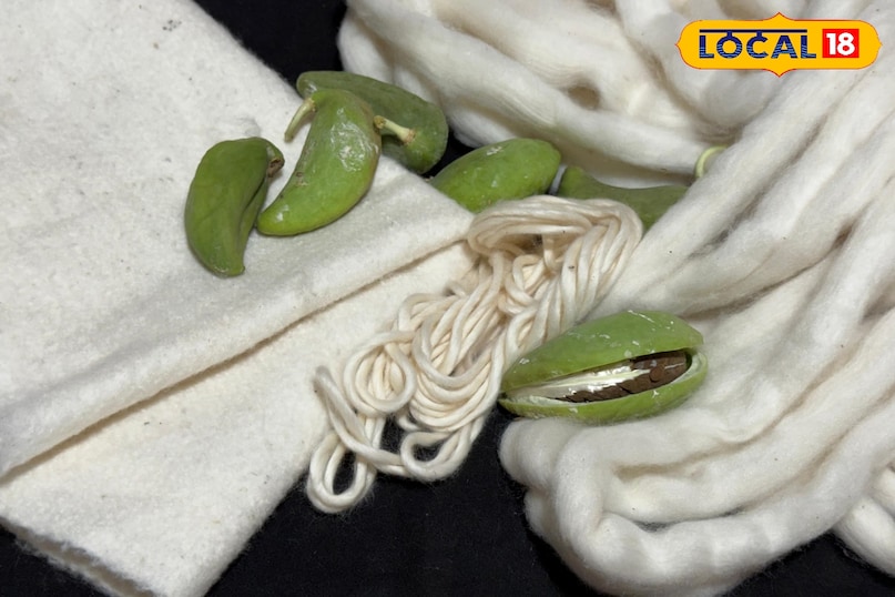 इसका वजन दूसरे फाइबर की तुलना में हल्का होता है जिससे यह पर्वतीय क्षेत्रों में भी आसानी से ले जा सकते है इसका वजन दूसरे फाइबर की तुलना में हल्का होता है जिससे यह पर्वतीय क्षेत्रों में भी आसानी से ले जा सकते है