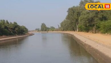 रबी फसलों के लिए इंदिरा गांधी नहर में चक्रीय सिंचाई लागू