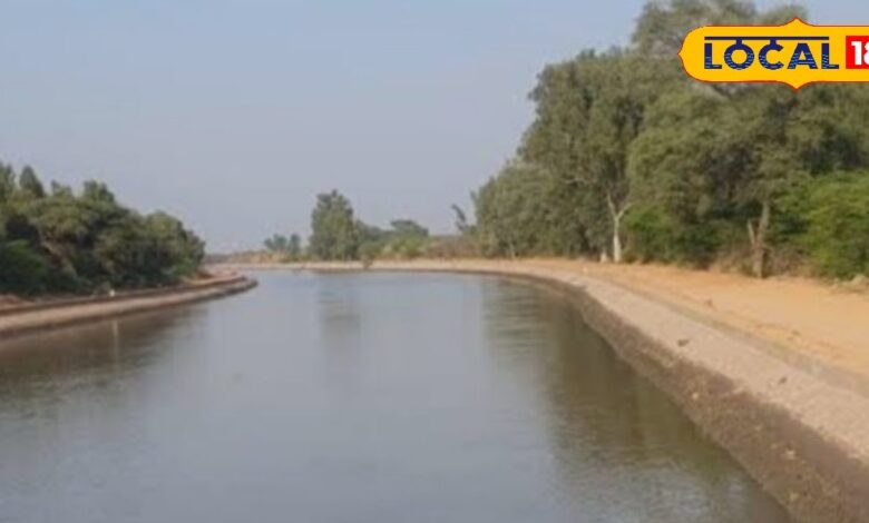 रबी फसलों के लिए इंदिरा गांधी नहर में चक्रीय सिंचाई लागू