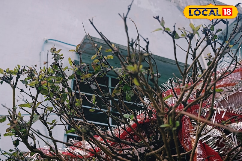 करौली करौली