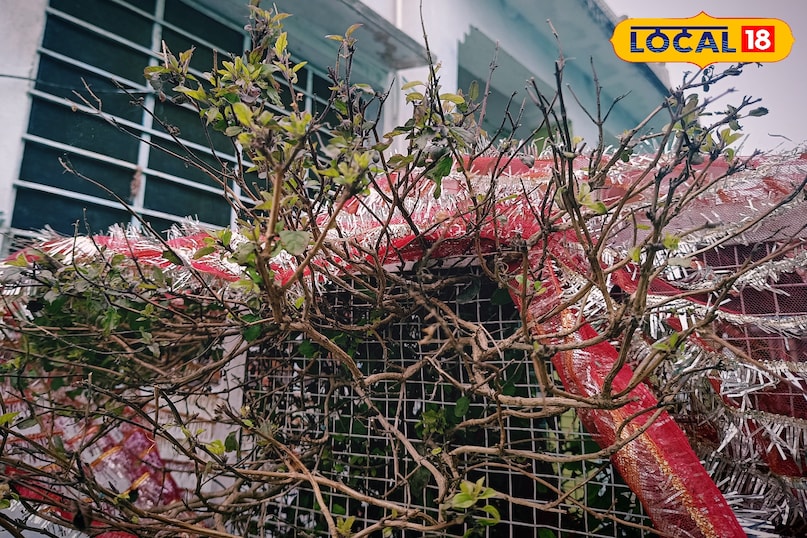 करौली करौली