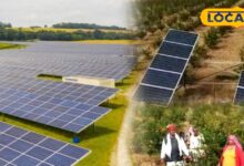 जहां कुछ नहीं उगता था, अब वही जमीन बिजली बेचकर पैसा दे रही है, 33 गांवों में सोलर प्लांट से किसानों की चमकी किस्मत