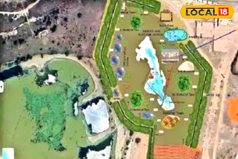 फ्लेमिंगो 