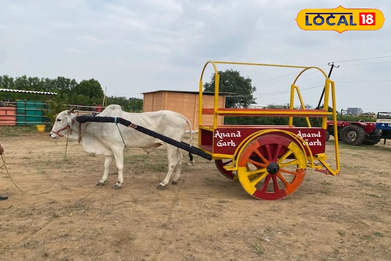 यह पूरा फार्म 10 एकड़ के विशाल क्षेत्र में फैला हुआ है। यहाँ की ताजी हवा और चारों तरफ फैली हरियाली पर्यटकों को एक अलग ही दुनिया का एहसास कराती है। यह हैदराबाद का पहला ऐसा पर्यटन स्थल है जो कृषि-पर्यटन Agri-tourism को बढ़ावा देता है।