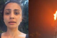 BMC Elections 2026: वायरल हो रहा डेशी शाह का वीडियो, चुनाव प्रचारकों पर उठाए सवाल, आग देख भड़कीं एक्ट्रेस