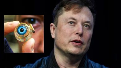 Elon Musk Blindsight Neuralink Brain Chip: बिना आंख के भी लोग देख सकेंगे दुनिया