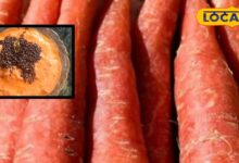 Famous Recipe : सर्दियों में हलवा नहीं ये गाजर चटनी बनाएं, स्वाद ऐसा कि रोटी-पराठा सब भूल जाएंगे