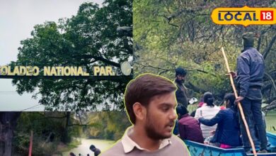 Ground Report: केवलादेव में लें बोटिंग का मजा, करीब से देख पाएंगे पक्षियों का कलरब, जानें टिकट दर और नियम