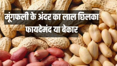 Is it good to eat peanut with red skin inside: क्या मूंगफली को लाल छिलके के साथ खाना चाहिए?