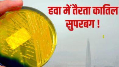 Superbug in Delhi Air Pollution Winter | दिल्ली की जहरीली हवा में सुपरबग का खतरा