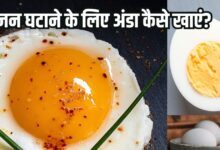 Which part of egg helps reduce weight: सफेद भाग या पूरा अंडा, वजन घटाने के लिए क्या है बेस्ट?