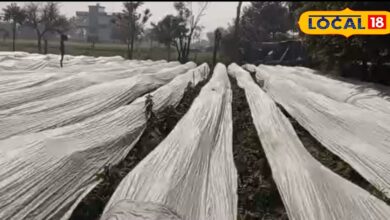 Winter Agriculture Tips | Minus Degree Temperature Farming | Cold Wave Farming Techniques | Frost Protection in Crops | Winter Crop Safety | Polyhouse Farming Winter | Mulching Techniques