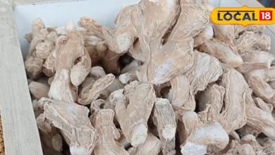 Winter Tips : सूखी अदरक सेहत के लिए खरा सोना, कब्ज की दुश्मन, उल्टे पांव भागेगी पुरानी खांसी, जानें सबकुछ - Uttarakhand News
