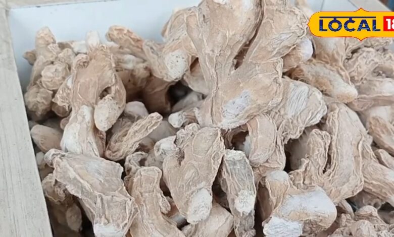 Winter Tips : सूखी अदरक सेहत के लिए खरा सोना, कब्ज की दुश्मन, उल्टे पांव भागेगी पुरानी खांसी, जानें सबकुछ - Uttarakhand News