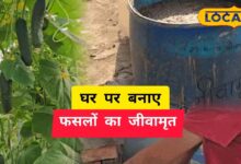 polyhouse farming success | greenhouse farming | agriculture tips Hindi | high profit farming | protected cultivation