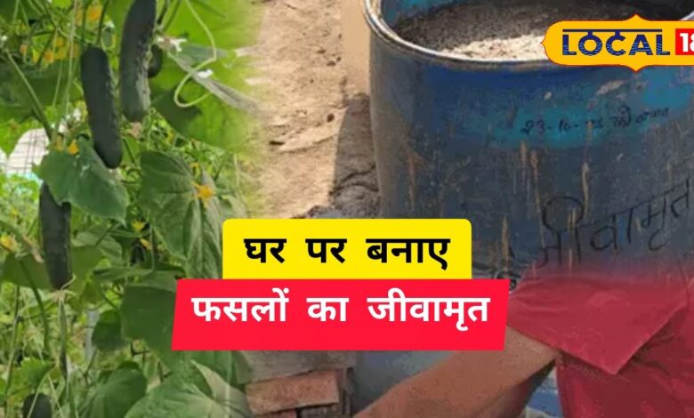 polyhouse farming success | greenhouse farming | agriculture tips Hindi | high profit farming | protected cultivation