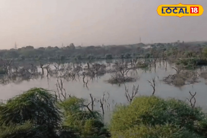 नानी बीड़ 