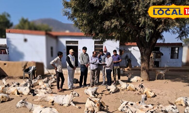 अलवर की देशी बकरी नस्लों को मिलेगी नई पहचान, ‘बतीसी’ बकरी बनी संभावित नई स्वदेशी नस्ल!