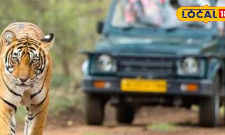 ओम बिरला ने वन्यजीव संरक्षण व ईको-टूरिज़्म परियोजनाओं की समीक्षा