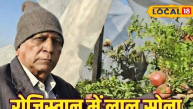 ओमप्रकाश मेहता की अनार खेती से 5 करोड़ का कारोबार, निर्यात भी