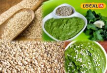 कभी नहीं खाई होगी ठंड में गर्माहट देने वाली ये चटनी, वीडियो में देखें इसकी आसान रेसिपी!