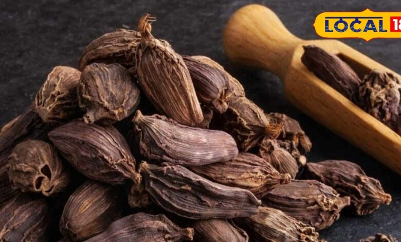 काली इलायची से बढ़ाएं भूख और पाचन शक्ति, पेट रहेगा हल्का और गैस से मिलेगी राहत, बस रोजाना ऐसे करें सेवन