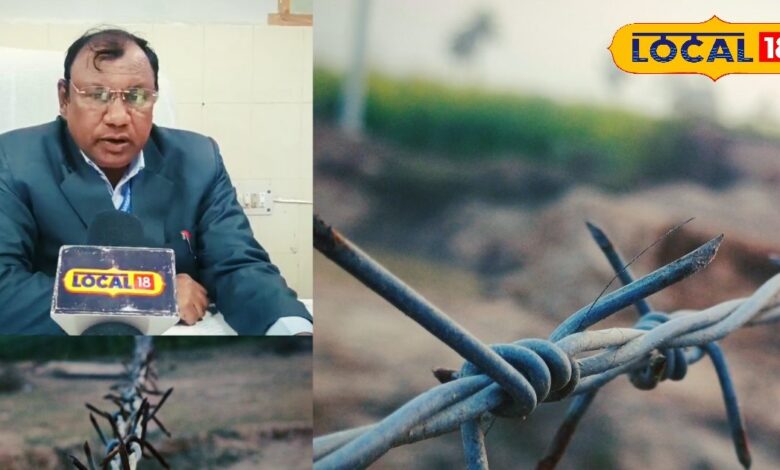 खेतों में करंट लगाने पर जेल की सजा | Ban on Electric Fencing in Rajasthan Farms News