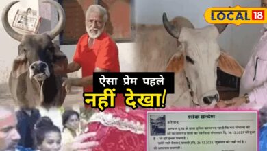 गाय के प्रति ऐसा प्रेम कि रह जाएंगे हैरान! 15 साल सेवा के बाद ढोल-थाली के साथ निकाली अंतिम यात्रा, प्रसादी भी बांटी