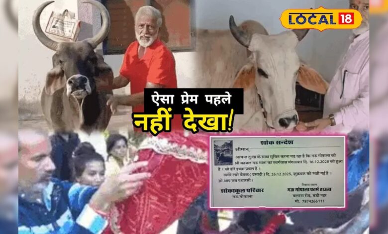 गाय के लिए छपवाए शोक पत्र और आयोजित की प्रसादी! ढोल-थाली के साथ निकली गौ माता की शवयात्रा