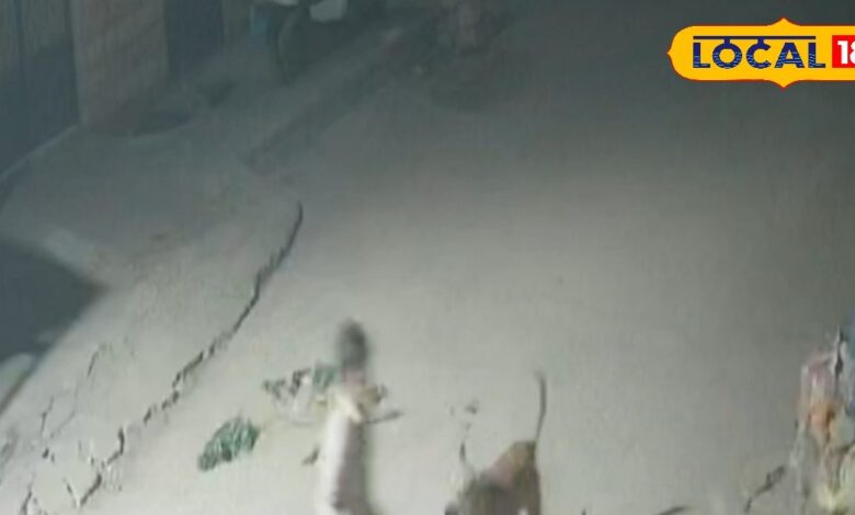 जोधपुर शहर में बढ़ता आवारा डॉग का आतंक, मासूम 9 साल का बच्चा जख्मी, देखें पूरा वीडियो...