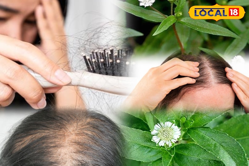 tip and tricks tip and tricks