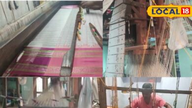 तेलंगाना की पोचमपल्ली-गडवाल साड़ियों को मिला GI टैग और पहचान