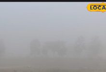 नागौर का मौसम: नागौर में भयंकर कोहरा, वाहनों की रफ्तार पर लगी ब्रेक, घर से बाहर निकलना हुआ मुश्किल