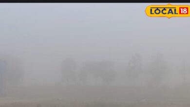 नागौर का मौसम: नागौर में भयंकर कोहरा, वाहनों की रफ्तार पर लगी ब्रेक, घर से बाहर निकलना हुआ मुश्किल
