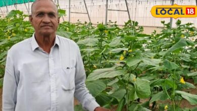 नागौर किसान रामनिवास डांगा की सफलता | Nagaur Farmer Polyhouse Farming Success Story.