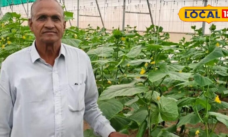 नागौर किसान रामनिवास डांगा की सफलता | Nagaur Farmer Polyhouse Farming Success Story.