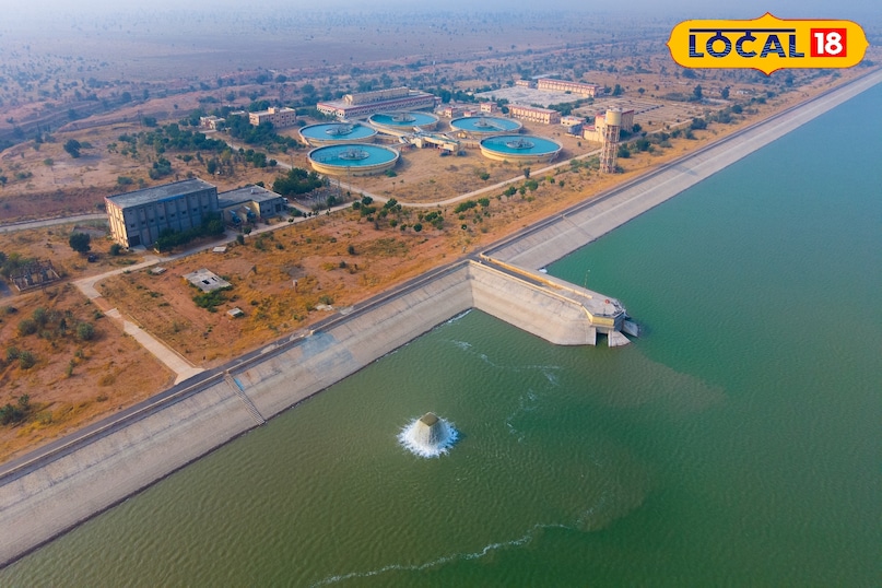 वॉटर प्लांट वॉटर प्लांट