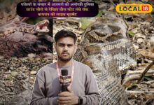पक्षियों के स्वर्ग में 20 फीट लंबे अजगरों का डेरा, लोगों ने देखा तो रह गए शॉक्ड!