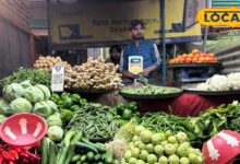 पैदावार बंपर, दाम कम: अलवर में सब्जियां हुईं सस्ती, आमजन खुश लेकिन किसान परेशान, देखें रिपोर्ट