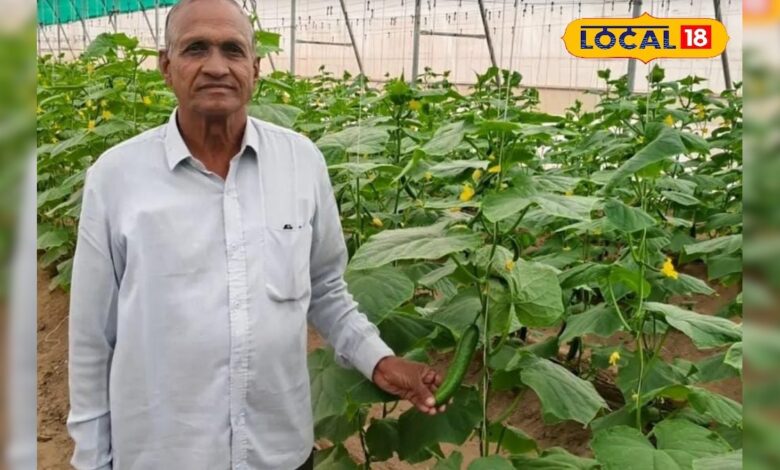 पॉली हाउस से बदला किसान का भाग्य, खेती से हो रही है लाखों की इनकम, कैसे देखें वीडियो