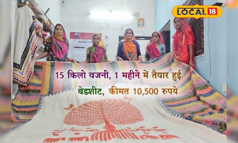 बाड़मेर की महिलाओं ने बनाया ऐसा अनोखा हस्तकला चमत्कार, जो अब सीधे राष्ट्रपति भवन की बढ़ा रहा है शोभा!