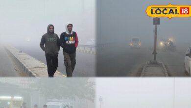 बाड़मेर में मावठ और शीतलहर का कहर