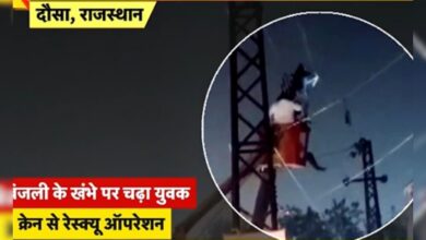 बिजली के खंभे पर चढ़ा, तारों में उलझा… फिर गिरा नीचे, देखें दौसा का हैरान कर देने वाला वीडियो – News18 हिंदी