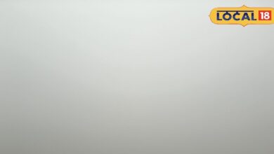 बीकानेर में कड़ाके की सर्दी और कोहरा